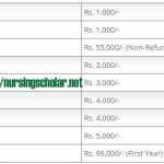 Fee Structure of Bachelor of Science in Nursing
