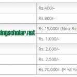 Fee Structure of Diploma of Nurses midwifery