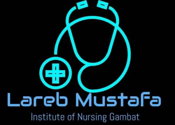 All degree courses and programs offered by Lareb Mustafa Institute Of Nursing LMIN Gambat
