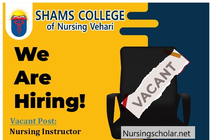 JOb for Shams College of Nursing Vehari 2024