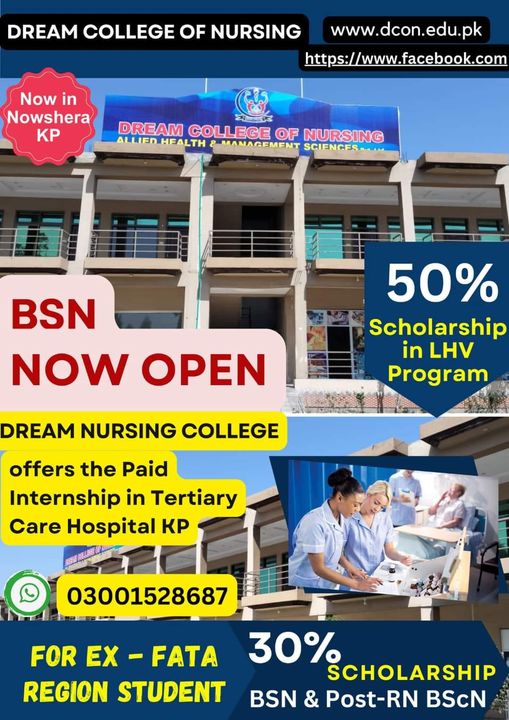 Dream College of Nursing BSN 2024